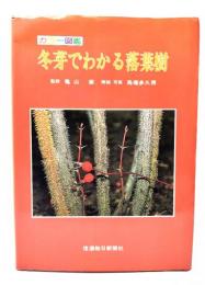 冬芽でわかる落葉樹 : カラー図鑑