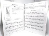 Learn to Play Irish Fiddle (Mel Bay Presents)CD2枚付き