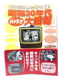 昭和30年代パノラマ大画報 : 今よみがえる、ニッポンの青春!