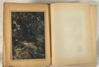 A Midsummer Night's Dream