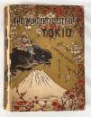 The Wonderful City of Tokio

【1883年・初版】エドワード・グリー著『THE WONDERFUL CITY OF TOKIO』鯰絵表紙 169点挿絵収録 日本見聞記 ボストン刊