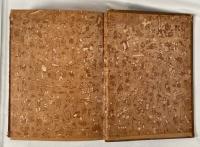 The Wonderful City of Tokio

【1883年・初版】エドワード・グリー著『THE WONDERFUL CITY OF TOKIO』鯰絵表紙 169点挿絵収録 日本見聞記 ボストン刊