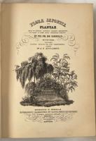 1835/1932 "FLORA JAPONICA" Siebold & Zuccarini - Limited Facsimile Edition
【博物学稀覯書】SIEBOLD『FLORA JAPONICA』Section Prima Centuria Prima 1836年 ルグドゥニ刊 原装紙装／後補改装本