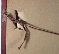 【時代資料】皇室儀式図『紫宸殿即位之図』 明治～大正期頃 額装 即位の礼 高御座 萬歳旗 有職故実