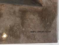 Architecture and Community: Building in the Islamic World Today (Aga Khan Award S.) (英語版)