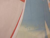 春のよそおい（桜）