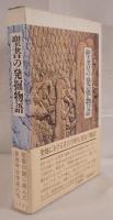 聖書の発掘物語