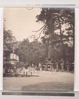 昭和期 古写真20枚組 風景・社寺・植物／撮影者「野村長男」印あり／大型プリント