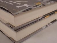 メディアの支配者　2冊揃え