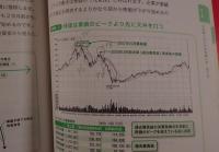 株を買うなら最低限知っておきたいファンダメンタル投資の教科書 = Fundamental Analysis for Individual Investors
