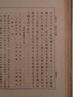文学小論