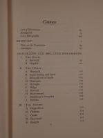 Beowulf and its Analogues