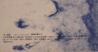 大斎院御集 : 御所本