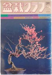 盆栽グラフ 創刊号