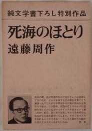 死海のほとり