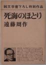 死海のほとり
