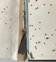 浮世絵画集　3冊揃え