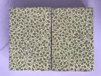 The Hymns of the R*gveda (2 Vols) Griffith Translation 1987