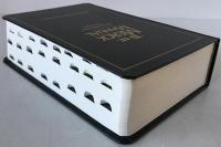 The Merck Manual of Diagnosis and Therapy. Seventeenth Edition (Centennial Edition) ハードカバー　（英語版）