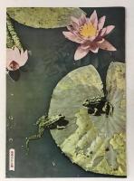 時事世界　昭和28年8月号