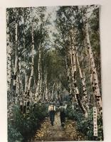 時事世界　昭和27年8月号