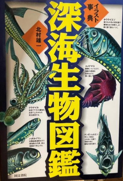 イラスト事典深海生物図鑑 北村雄一 著 株式会社 Wit Tech 古本 中古本 古書籍の通販は 日本の古本屋 日本の古本屋