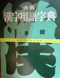 大判漢字用語字典