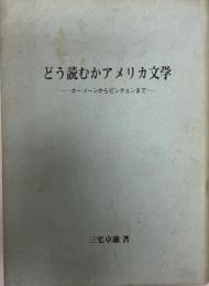 どう読むかアメリカ文学 : ホーソーンからピンチョンまで