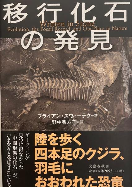 移行化石の発見 ブライアン スウィーテク 著 野中香方子 訳 株式会社 Wit Tech 古本 中古本 古書籍の通販は 日本の古本屋 日本の古本屋 移行化石の発見 ブライアン スウィーテク 著 野中香方子 訳 株式会社 Wit Tech 古本 中古本 古書籍の通販は 日本の古本屋 日本の古本屋