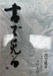 続・書で見る　－あれこれ百話－ [単行本（ソフトカバー）] 永田文昌