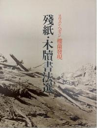 楼蘭発現 : 残紙・木牘書法選 ＜楼蘭発現 : 残紙・木牘＞ 2冊セット