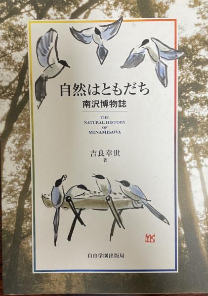 篆刻字典(師村妙石 編) / 株式会社 wit tech / 古本、中古本、古