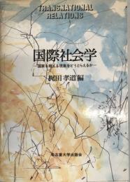 国際社会学 : 国家を超える現象をどうとらえるか