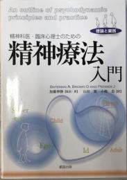 精神科医・臨床心理士のための精神療法入門 : 理論と実践