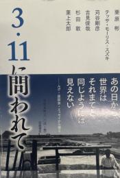 3・11に問われて : ひとびとの経験をめぐる考察