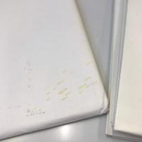 【古地図】空から見た安茂里 　写真集　安茂里の100年　長野市制100周年記念詩付録