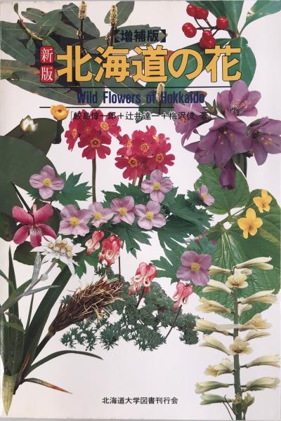 葉山嘉樹日記(葉山嘉樹) / 株式会社 wit tech / 古本、中古本