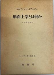 批判的形而上学とはなにか　ハイデッカー選集1