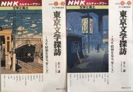 東京文学探訪 : 大正・昭和を見る、歩く　上下2冊セット