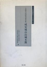 咸安城山山城木簡 : 日韓共同研究資料集