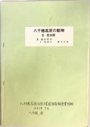 八千穂高原の動物　Ⅲ.昆虫類
