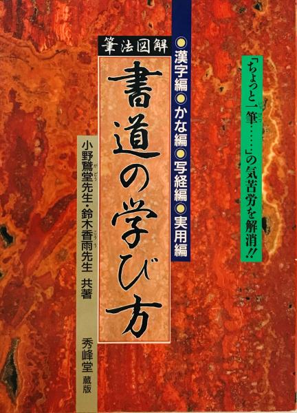 透視人体解剖図 第18版(新井正治編) / 株式会社 wit tech / 古本