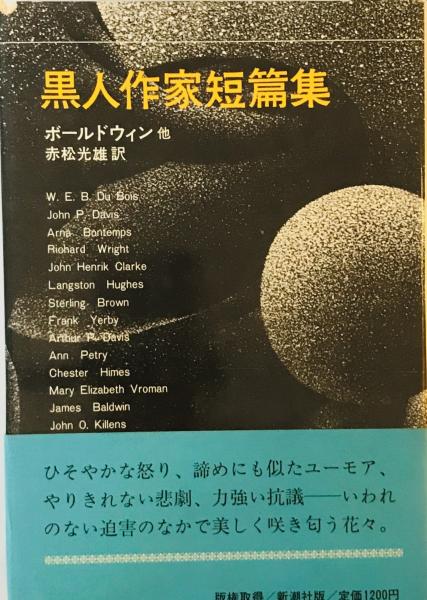 期間限定キャンペーン 豊田本郷 : 主要地方道平塚・伊勢原線新設工事に伴なう発掘調査 日本史