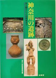 神奈川の遺跡 : 先土器から小田原城まで
