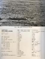 謀将山本勘助と武田軍団