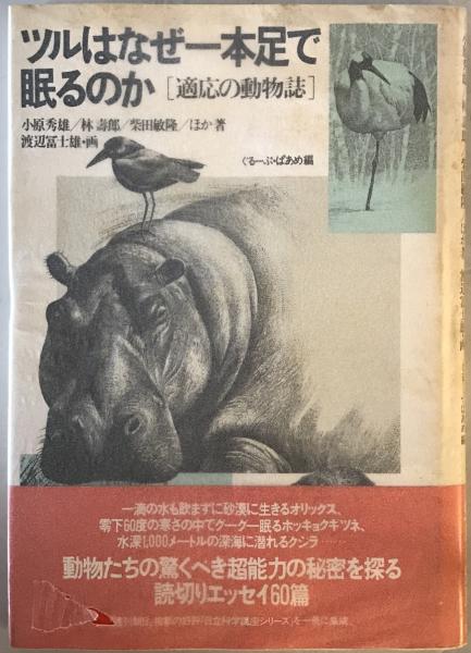 Amazon.co.jp: ニホンザル性の生理 (自然誌選書) : 和秀 雄: 本