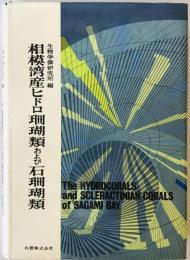相模湾産ヒドロ珊瑚類および石珊瑚類