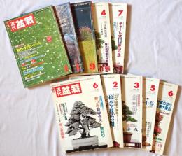 近代盆栽　1989年4月号、1990年4月、9月、1993年6月、1994年2月、1995年3月、4月、5月、6月、7月