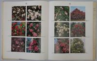 写真集　The Dictionary of ROSES in colour