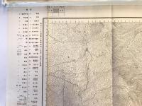 【古地図】網代　二万五千分之一地形図 小田原近傍15号（共15面）　明治18年測図昭和8年修正　日本陸軍参謀本部発行　ヤケシミ少々